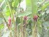 AU_2010-04-24_015.JPG